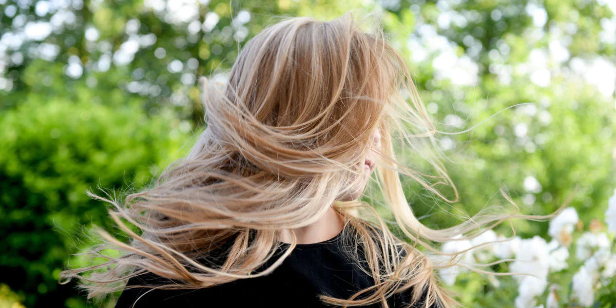 Capelli di diversi colori naturali, dal biondo al castano scuro