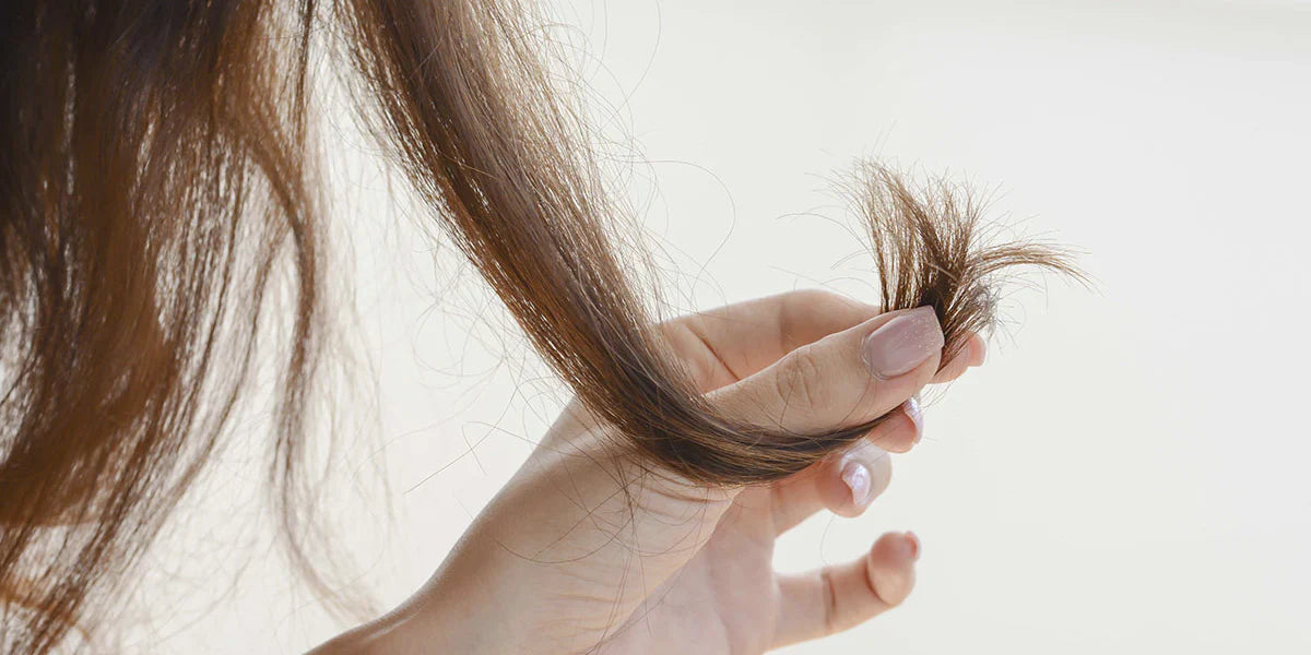Capelli secchi e sfibrati con punte danneggiate