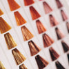 I Principi della Colorazione per Parrucchieri: I Fondamenti